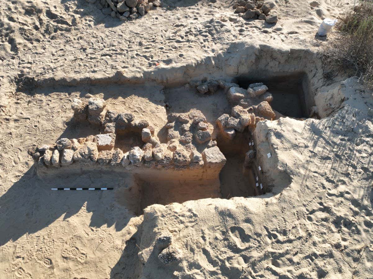 Çiftçiler 1000 yıl önce çorak kumda bitki yetiştirmek için çöp kullandı