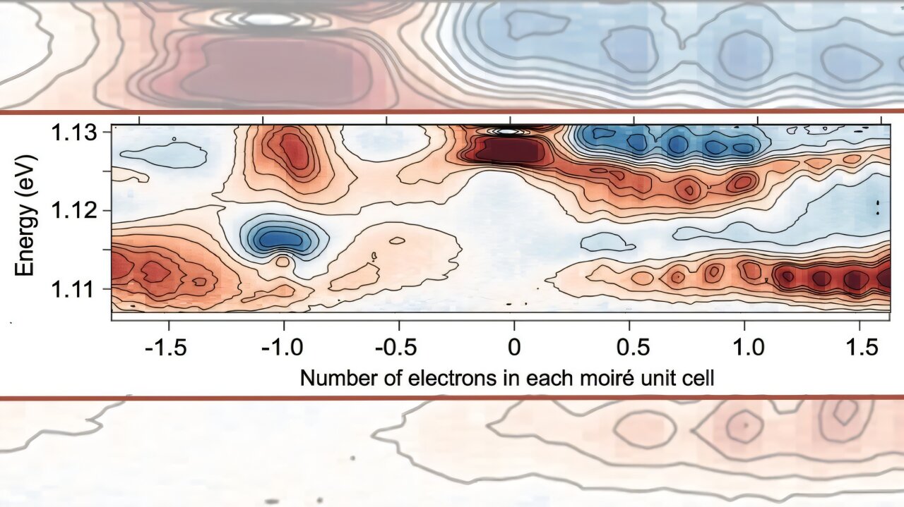 Dışarıda bir kuantum hayvanat bahçesi ve bilim adamları bir düzine yeni 'tür' buldu