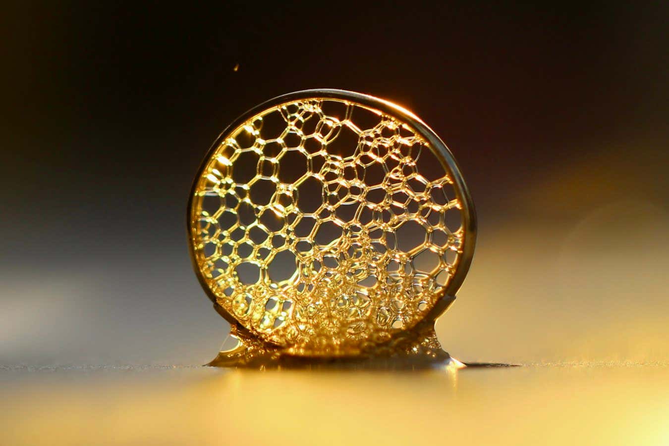 Fotoğraf yarışması bilimin güzelliğini canlı ayrıntılarla vurgular