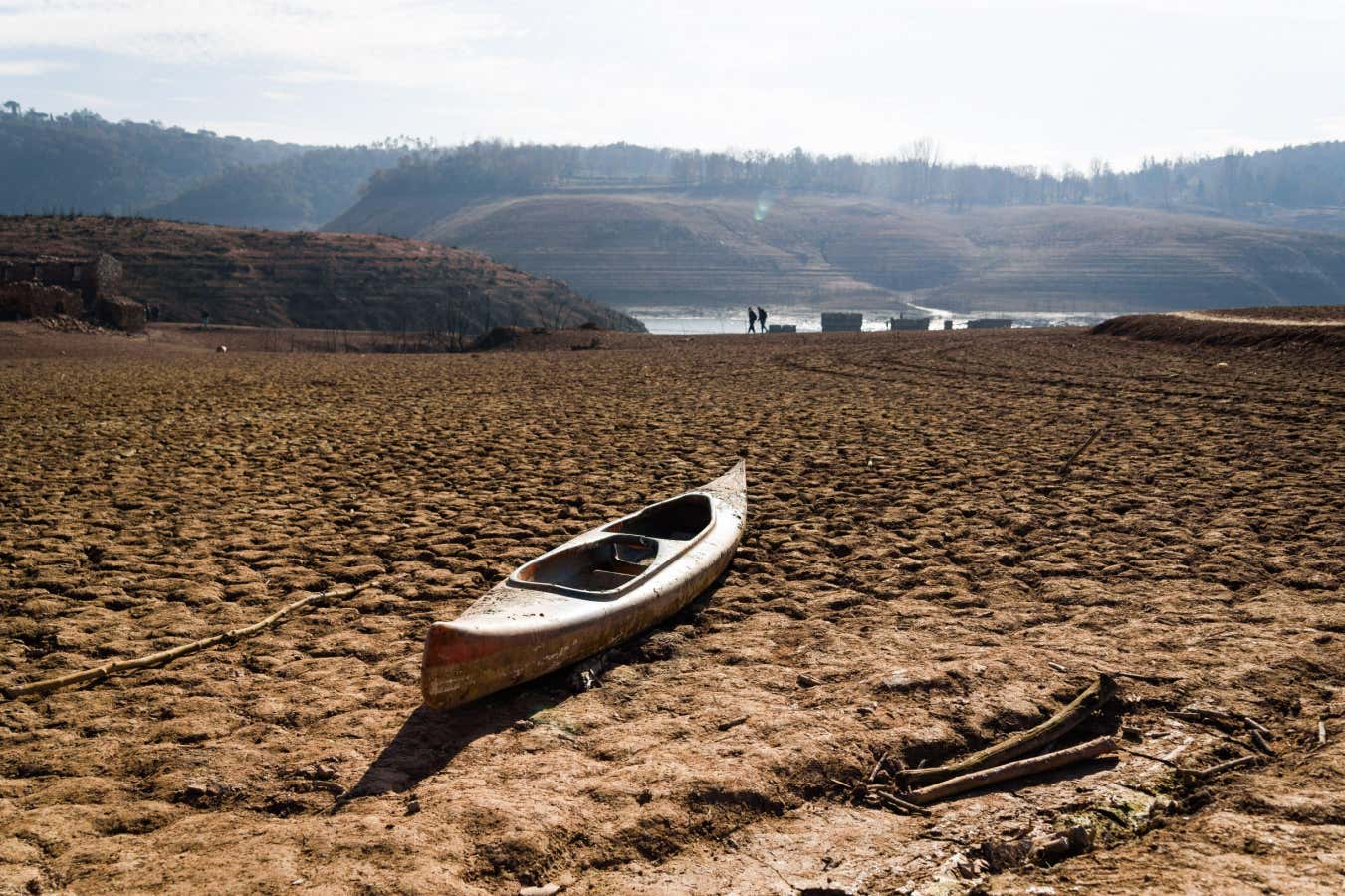 New Scientist. Science news and long reads from expert journalists, covering developments in science, technology, health and the environment on the website and the magazine.