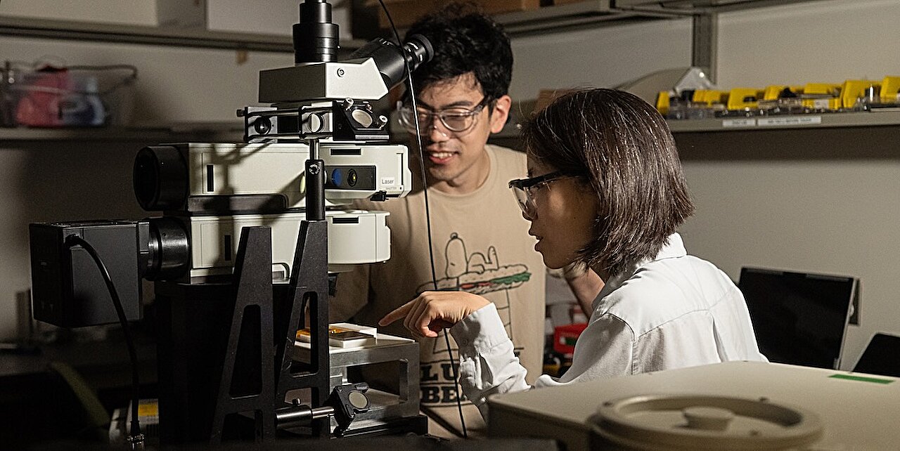 Işık İmza Algoritması, viral proteinler, beyin hastalığı belirteçleri ve yarı iletkenler hakkında kesin bir fikir sunar.