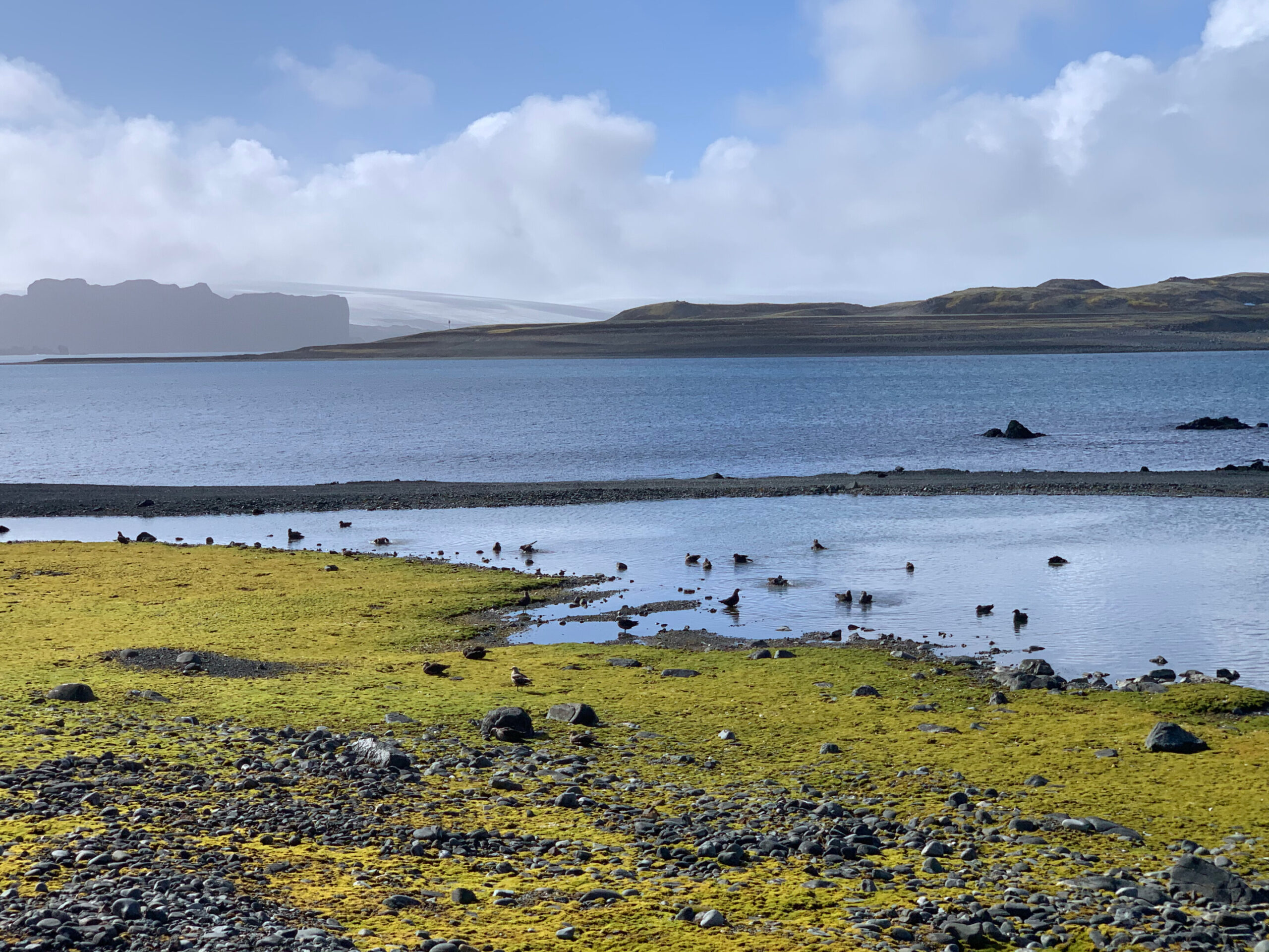 Yüksek çözünürlüklü iklim modelleri, Tasman deniz sıcaklıklarının Antarktika Yarımadası ısınmasını nasıl etkileyebileceğini ortaya koyuyor