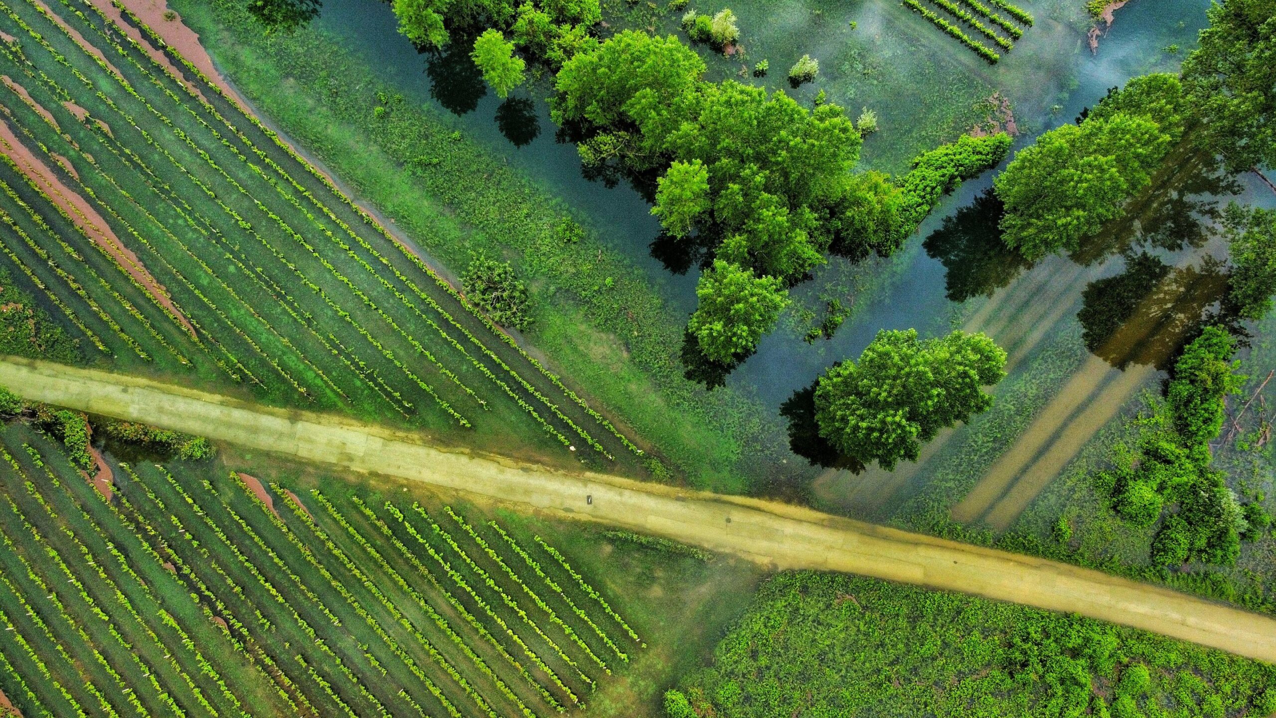 13 milyon çiftçi deniz seviyesine karşı nasıl savaşacak?