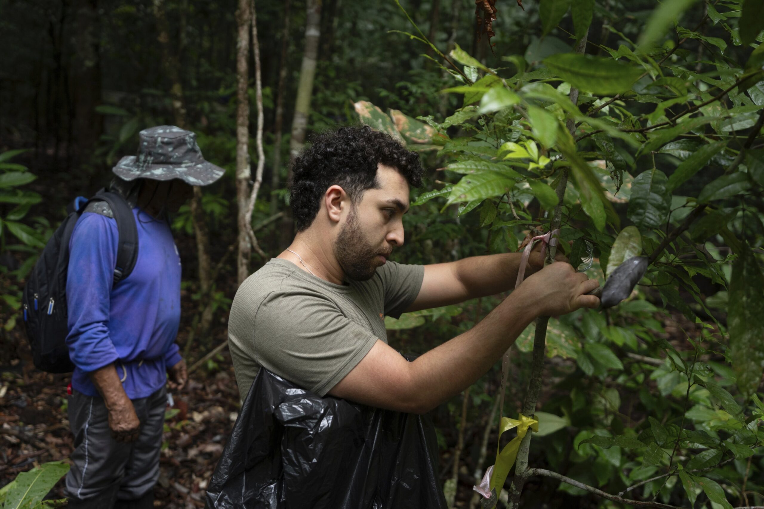 Amazon yağmur ormanları kurursa ne olur? Bu onlarca yıl süren deneyin bazı cevapları var