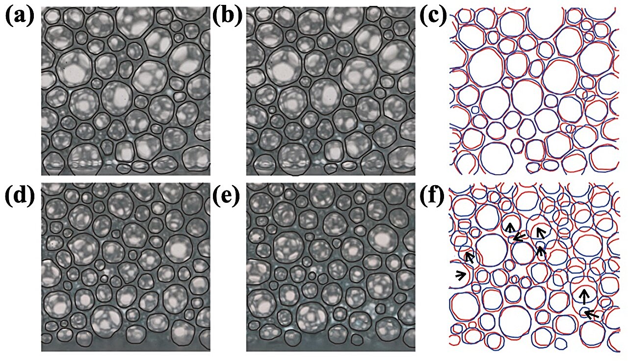 Bilim adamları gizemi, köpüklerin neden beklenenden daha sızdırmanın arkasındaki gizemi yıkıyor