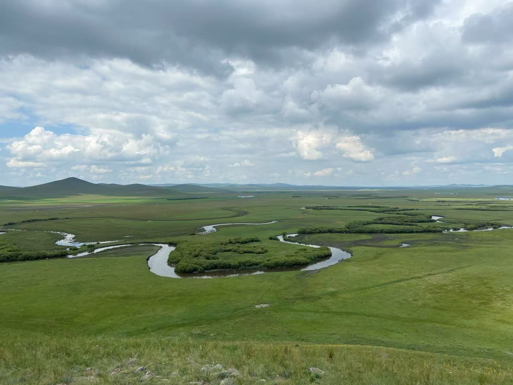 Bitki örtüsü değişiklikleri geç Miyosen sırasında iklim değişimlerini hızlandırdı, çalışma buluyor