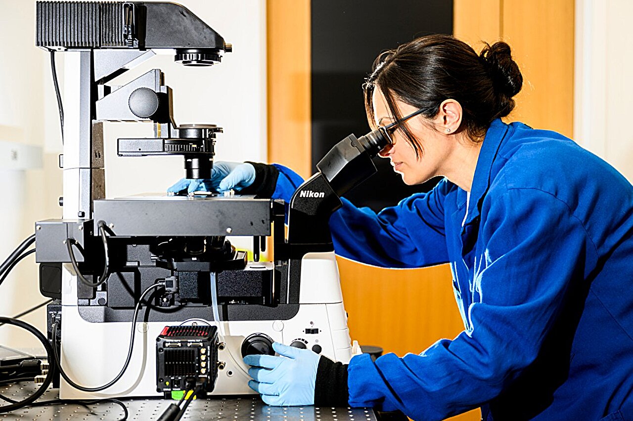 Biyomoleküler etiketlemeyi canlı hücreler için güvenli hale getirmek için 'Tıklama Kimyası'nın gücünü kullanma