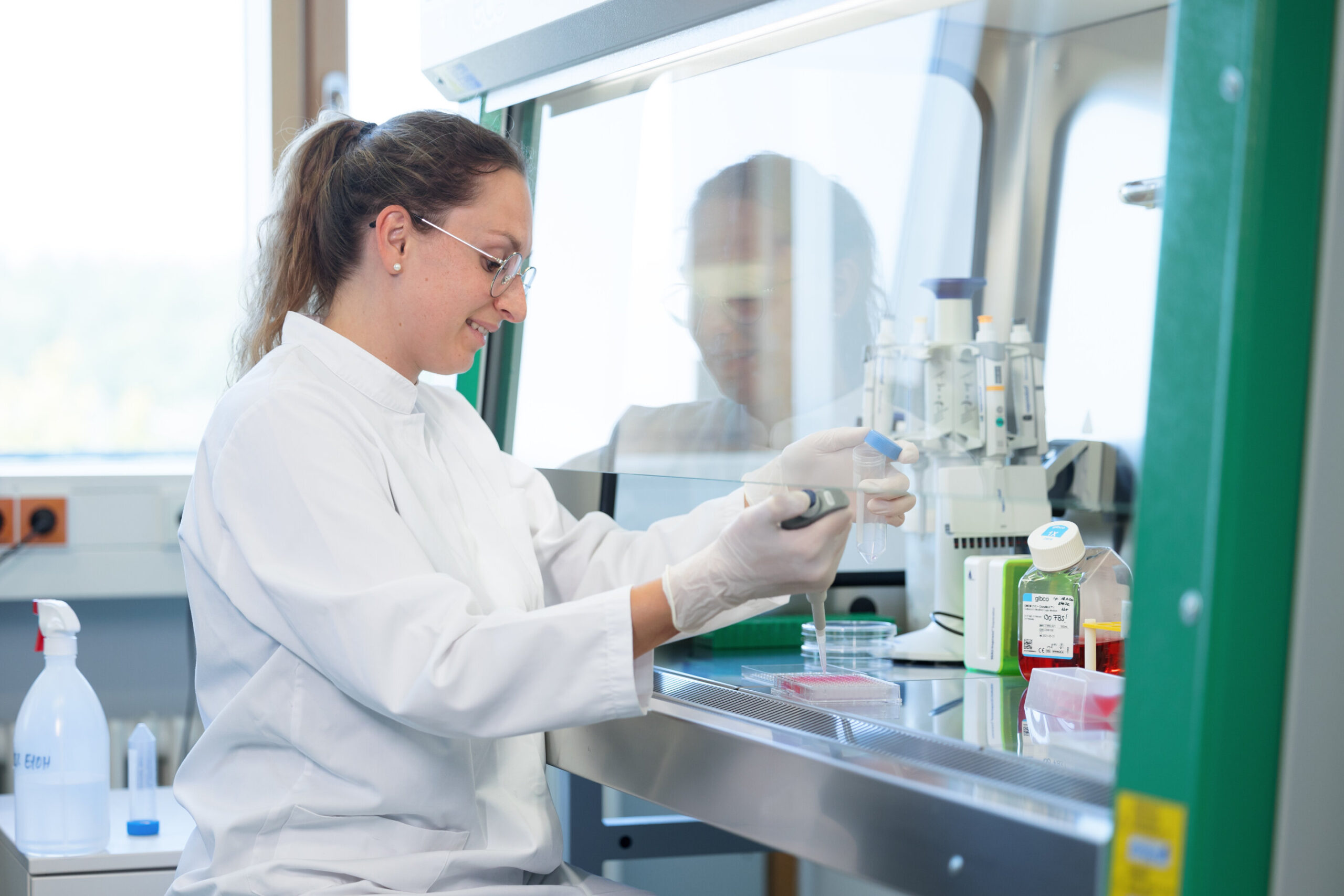 Daha az acı, tıpkı doyurucu gibi - bezelye proteini hidrolizatlarına yönelik çalışma şaşırtıcı bulgular sunar