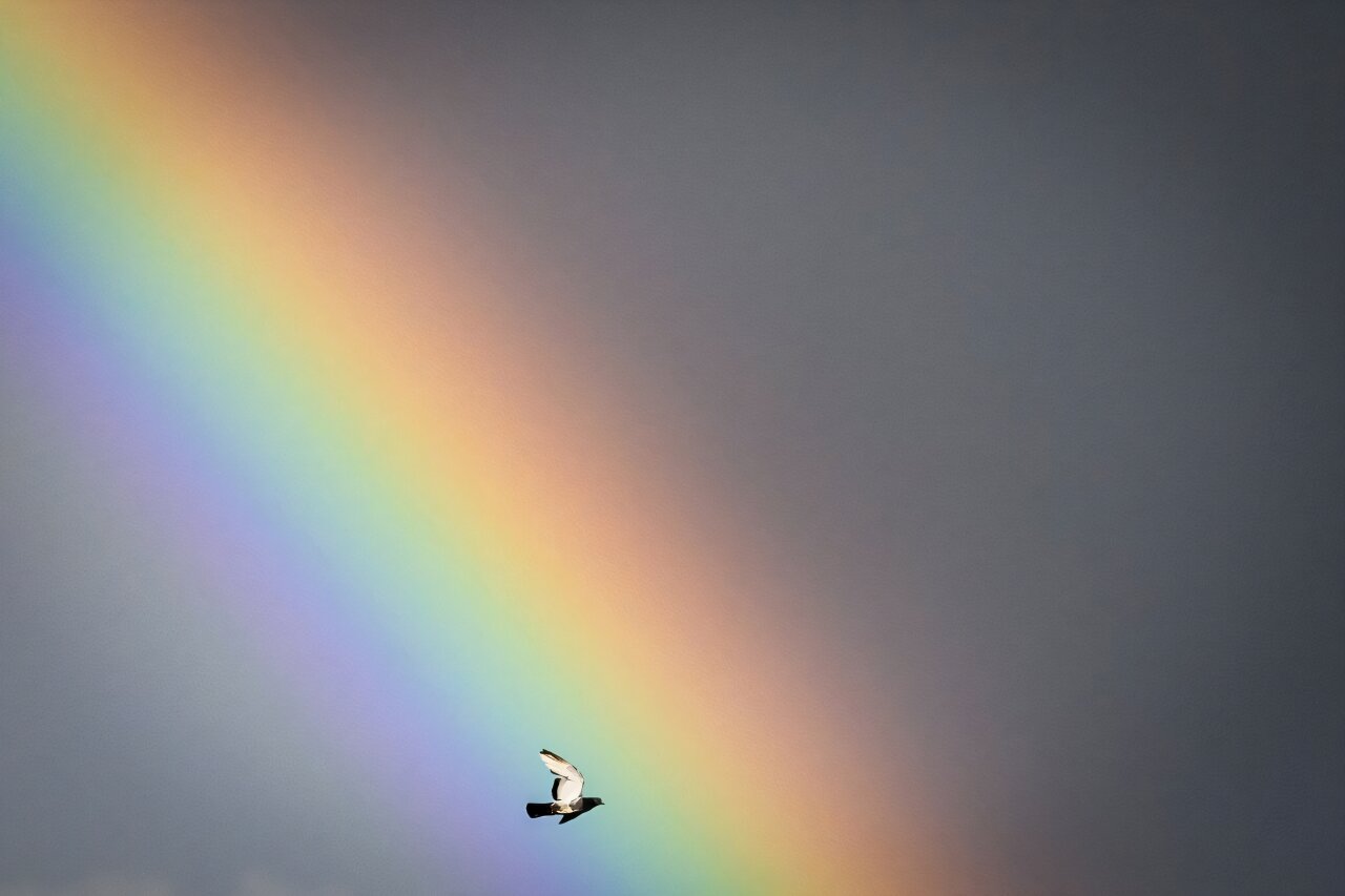 Fiyatlandırma Birdsong: AB, biyoçeşitliliğe yardımcı olmak için doğa kredilerini mulls