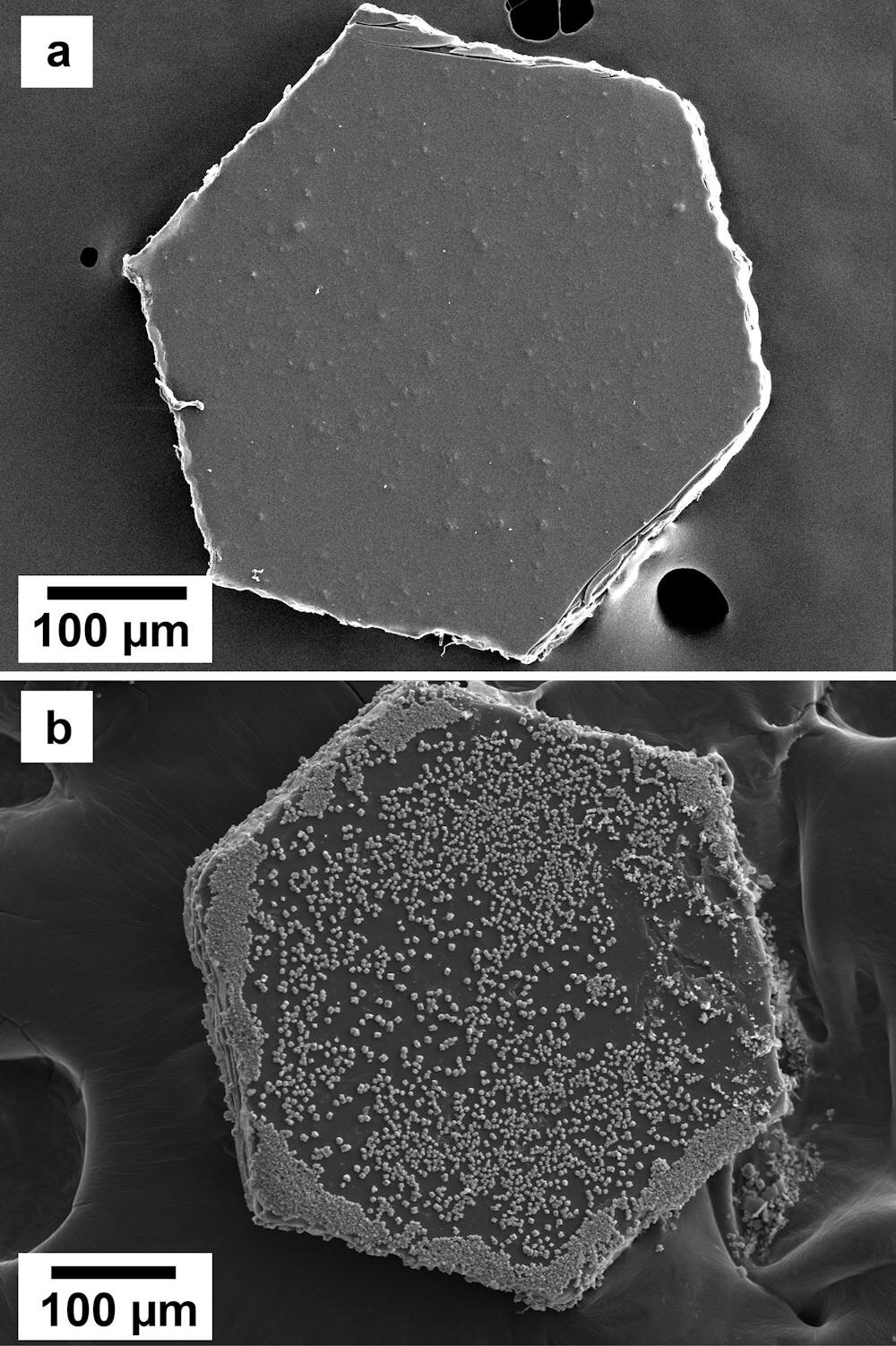 Glitter'ın ışıltısı daha karanlık bir tarafı gizler - okyanuslarımızın kimyasını değiştirebilir