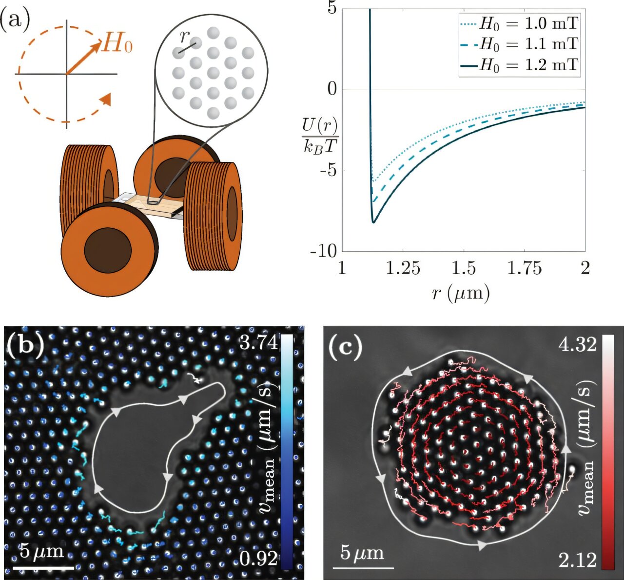 Kenarda Görünmez Akımlar: Çalışma, manyetik parçacıkların gizli doğanın nasıl ortaya çıktığını gösterir