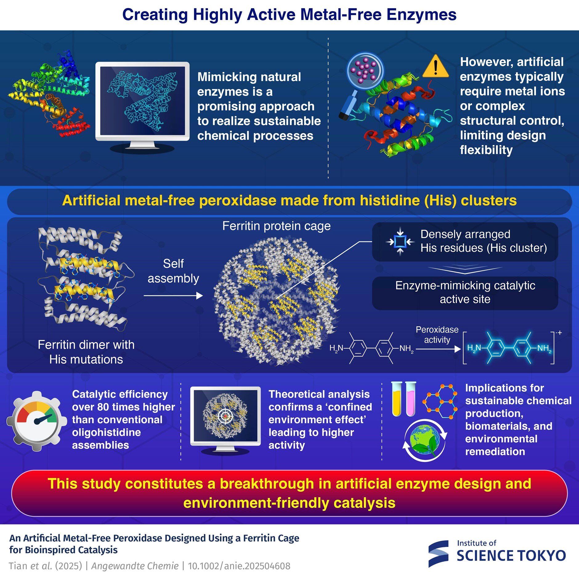 Kendini birleştiren protein kafesleri ile verimli yapay enzimler tasarlama