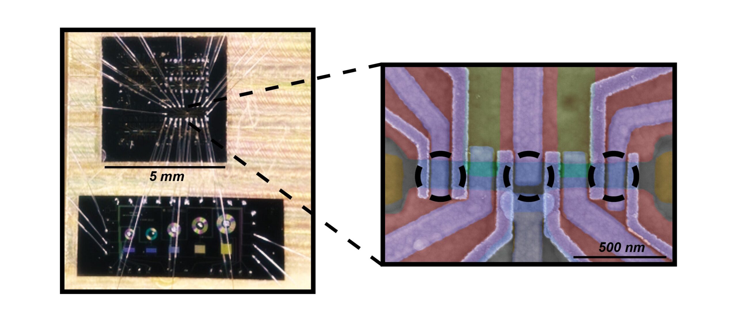 Majoranas hareket halindeyken: süperiletken-quantum nokta kombinasyonu majorana bağlı devletleri manipüle eder