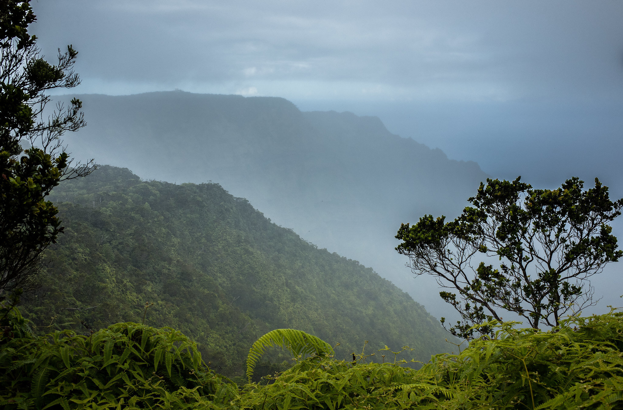 Sadece El Niño değil: Yeni İklim Olgusu Hawai'i Yağışları Etkiler
