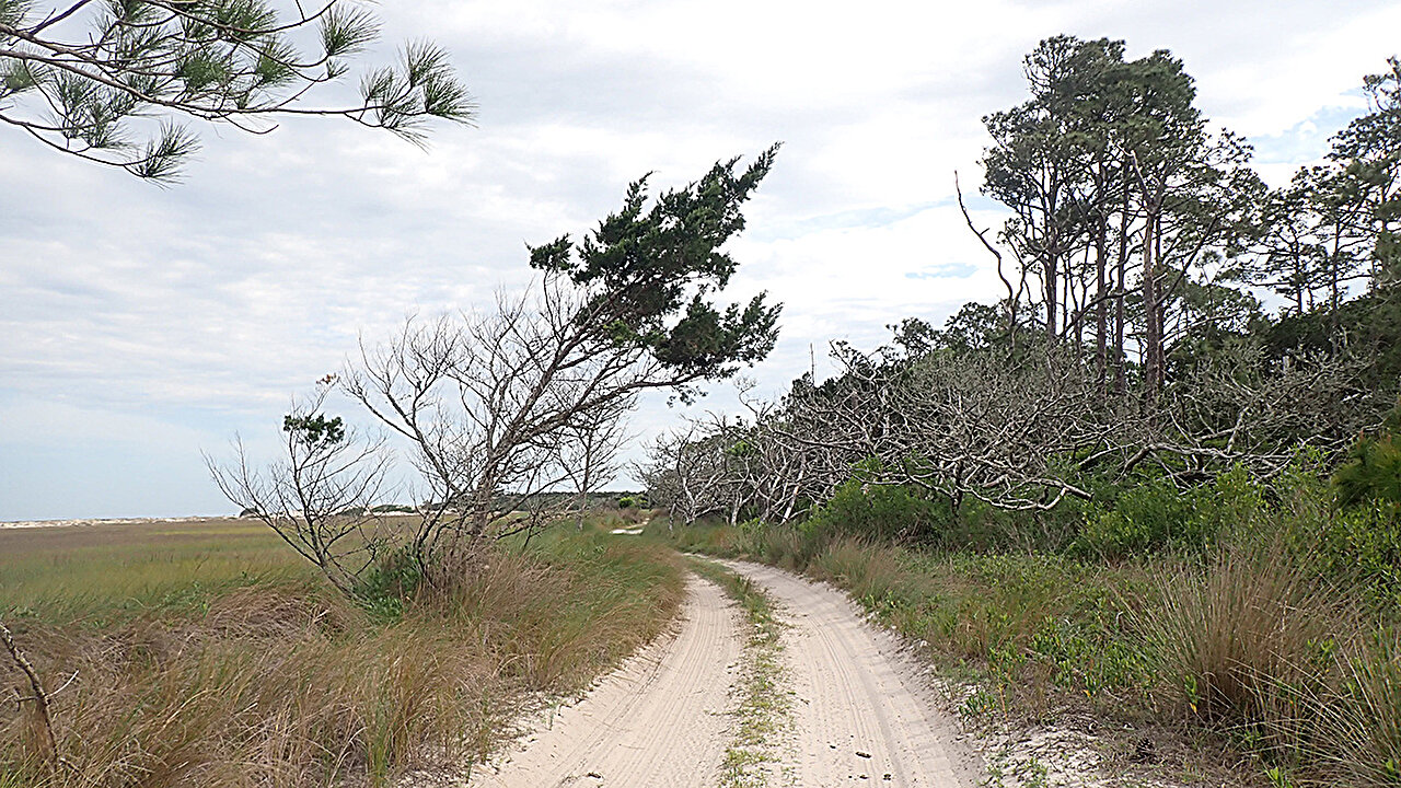 Taşkın tahmini, Gürcistan sahilinden gelen yol esnekliğini artırabilir