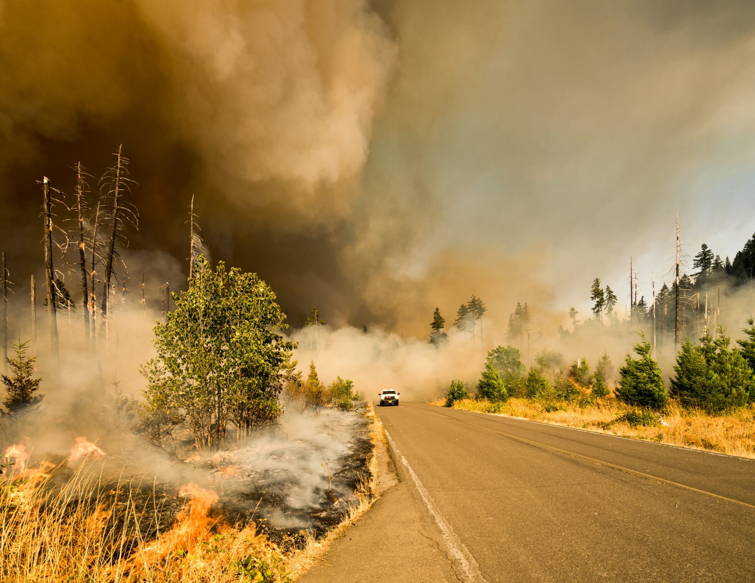 Wildfire Dumanı, Aşırı Isı Birlikte Olabilir: Sıcak, Dumanlı Bir Geleceğin Kombine Sağlık Etkilerine Hazırlanması