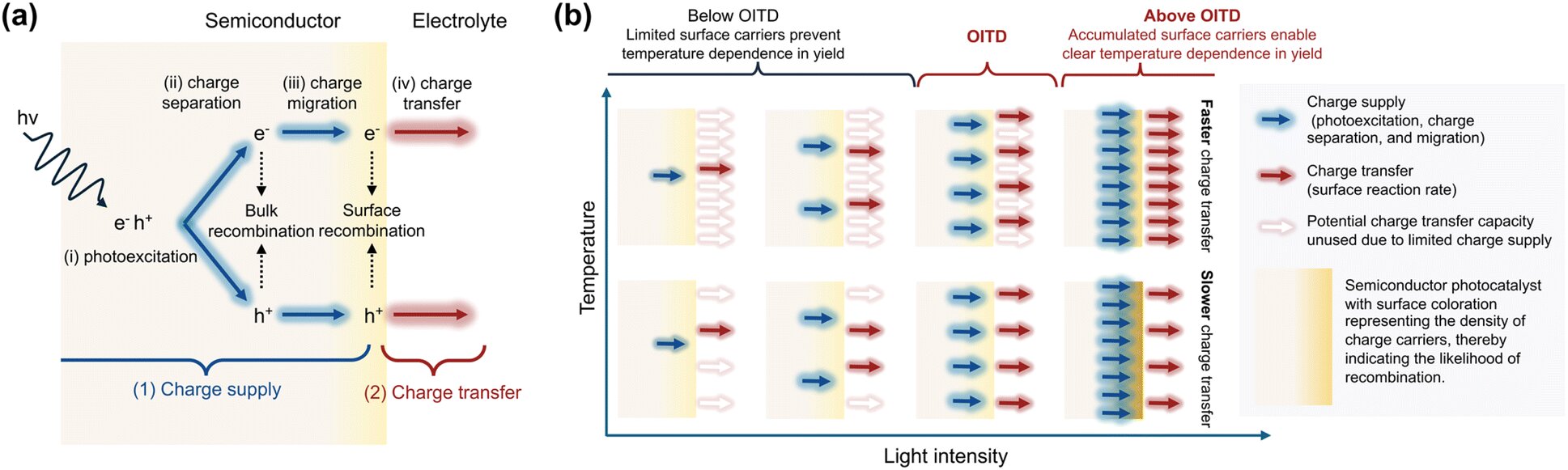 Yeni önerilen parametre, verimlilik kazanımları için fotokatalizde hız sınırlayıcı adımlar