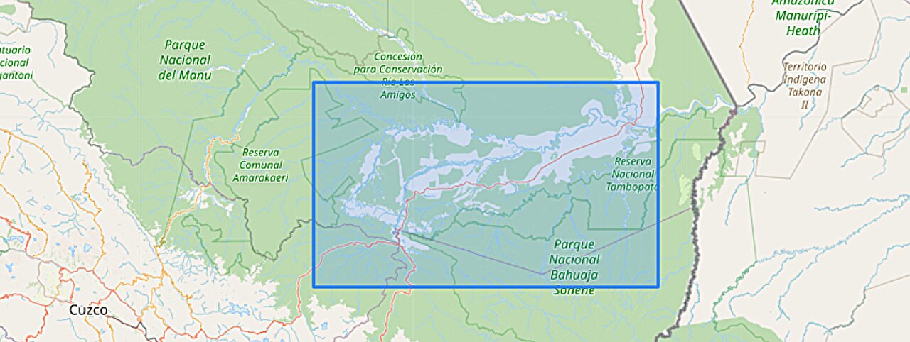 Amazon'da altın madenciliğinden sonra ormanlar neden geri gelmiyor?