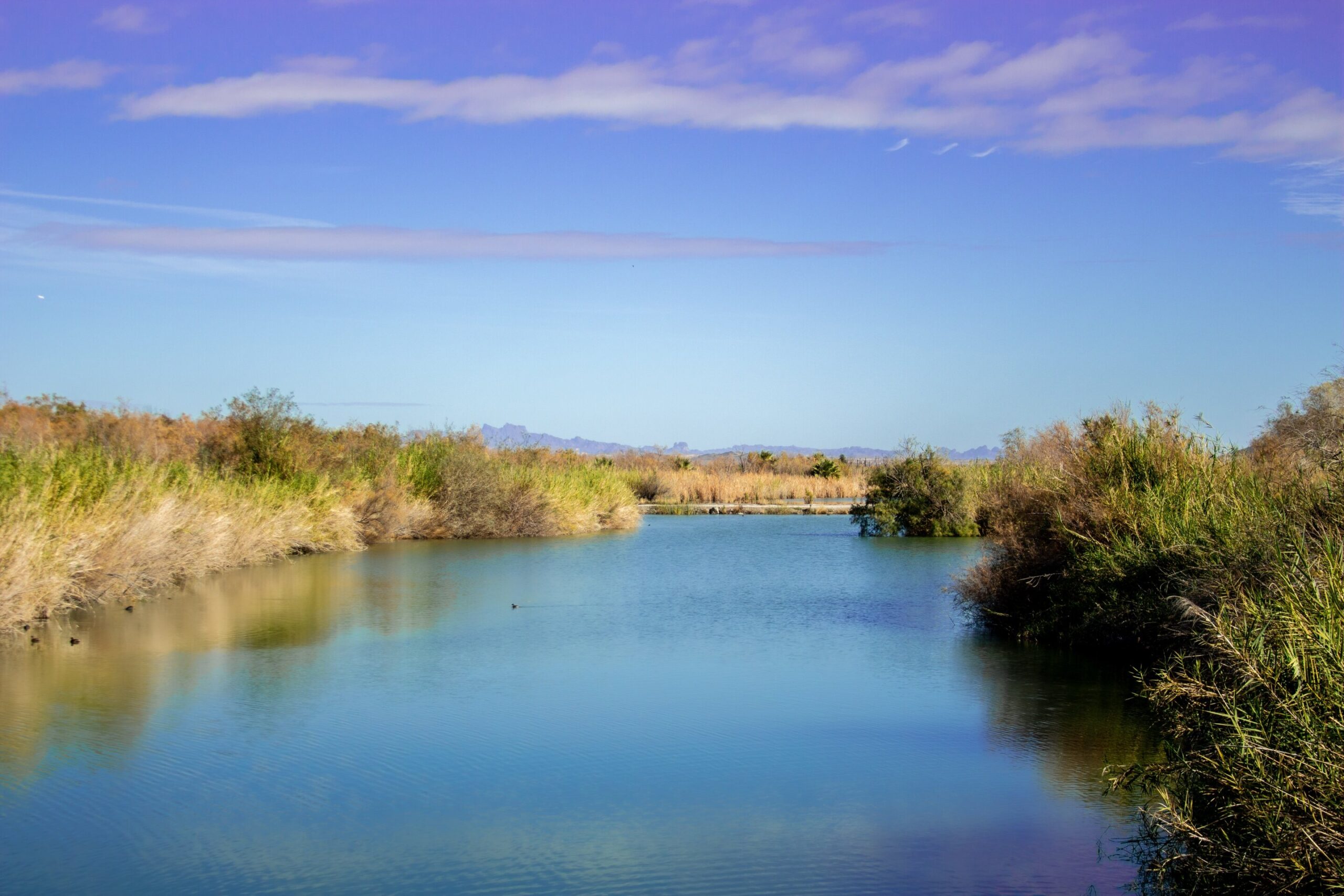 Colorado River eyaletlerinin hala birleşik bir uzun vadeli yönetim planı yok ve 'hemen hemen dışında', uzmanlar uyardı