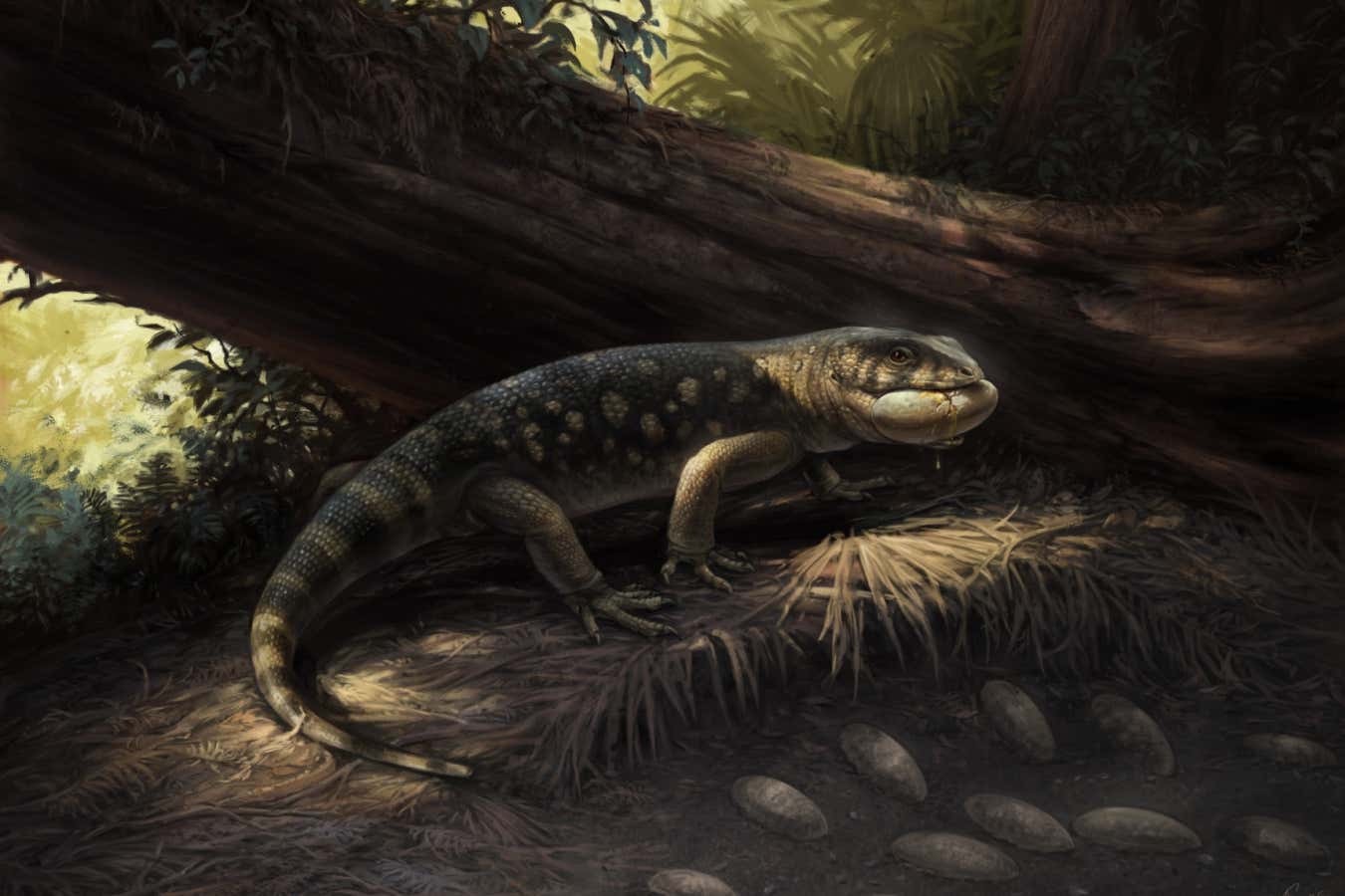 New Scientist. Science news and long reads from expert journalists, covering developments in science, technology, health and the environment on the website and the magazine.