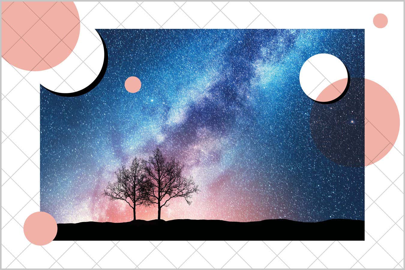 Trees against starry sky