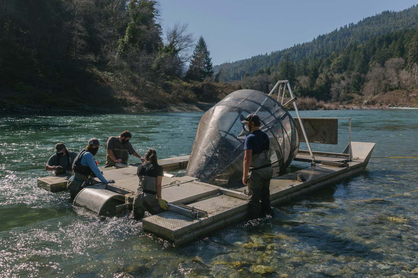 New Scientist. Science news and long reads from expert journalists, covering developments in science, technology, health and the environment on the website and the magazine.