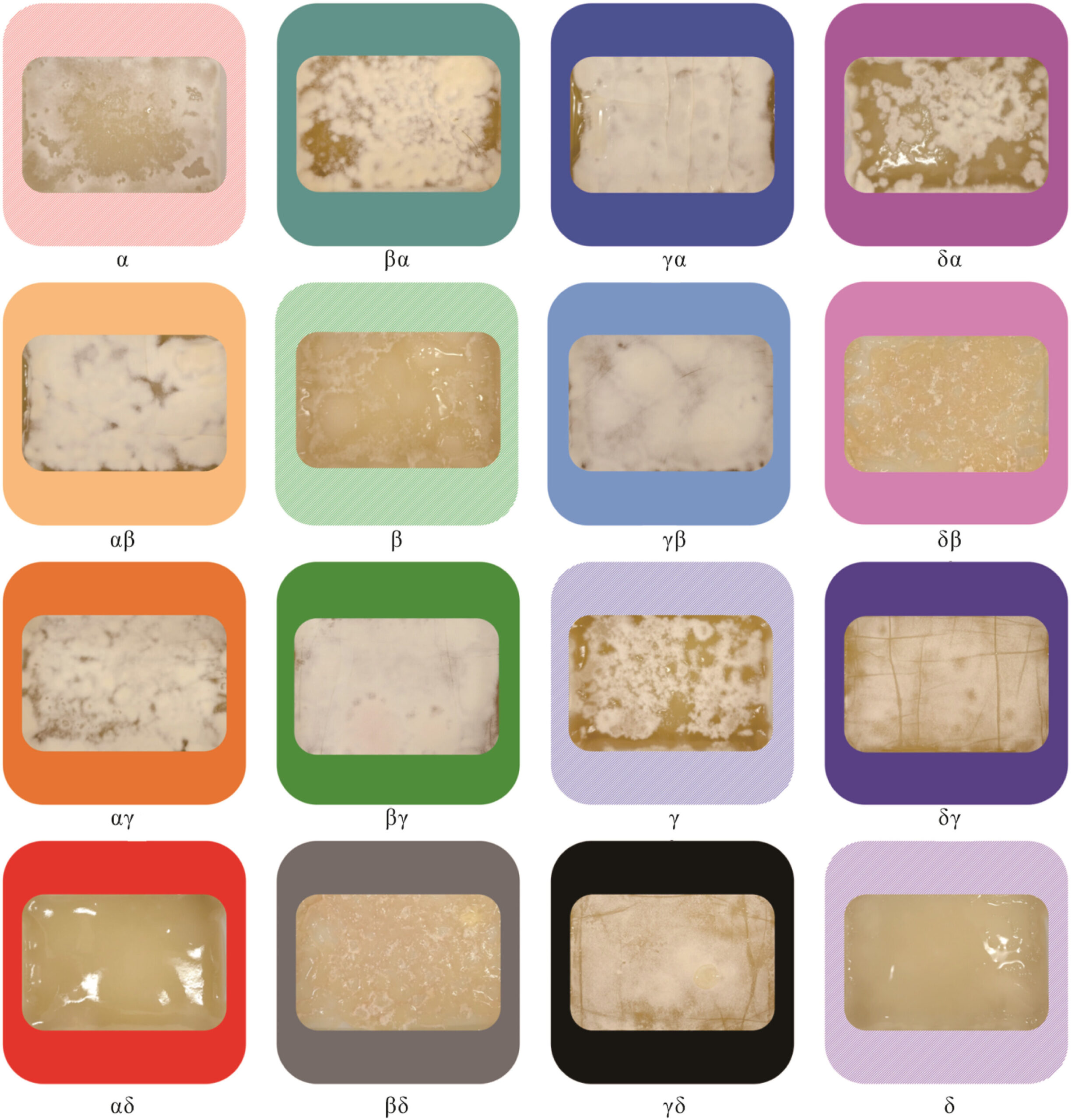 Nature's Toolkit: Bilim adamları, yaygın olarak kullanılan malzemeler için çok yönlü doğal ikameler oluşturmak için mantar üretiyor