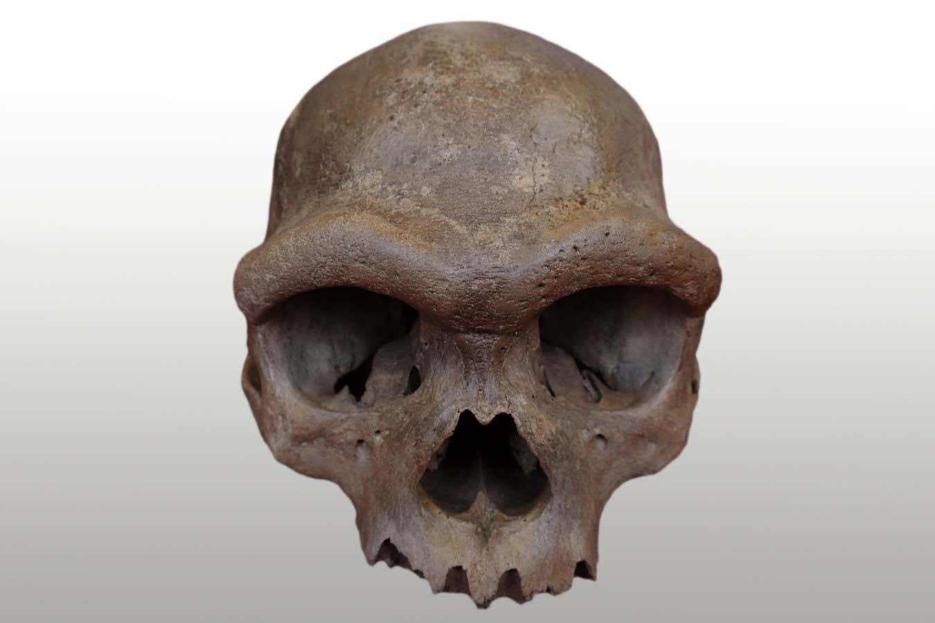 Sonunda bir Denisovan'ın yüzünün neye benzediğini biliyoruz