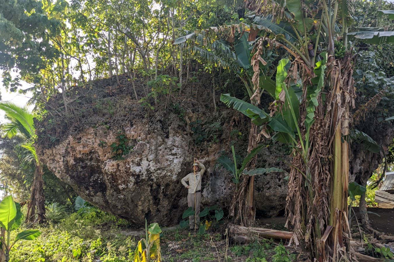 Tonga'daki Clifftop'ta dev boulder 50 metre yüksekliğinde bir dalga tarafından taşındı