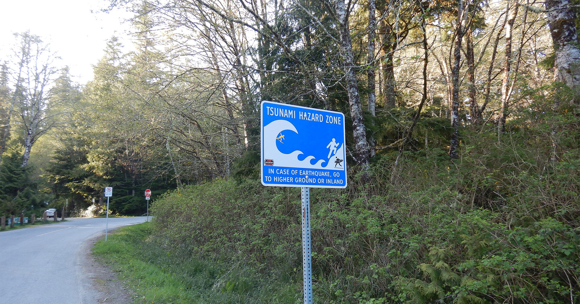 Yeni Makine Öğrenme Modeli Erken Tsunami Uyarılarını İyileştirir