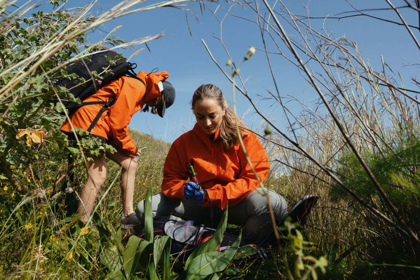 Biyoteknoloji firması 'biyolojinin chatgpt'i yaratmayı hedefliyor - işe yarayacak mı?