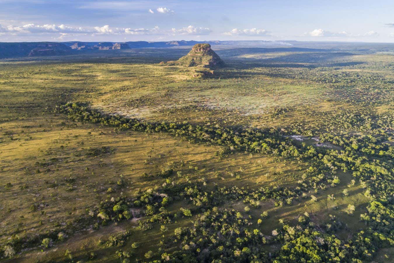 Drone view of savanna vegetation and rock formation