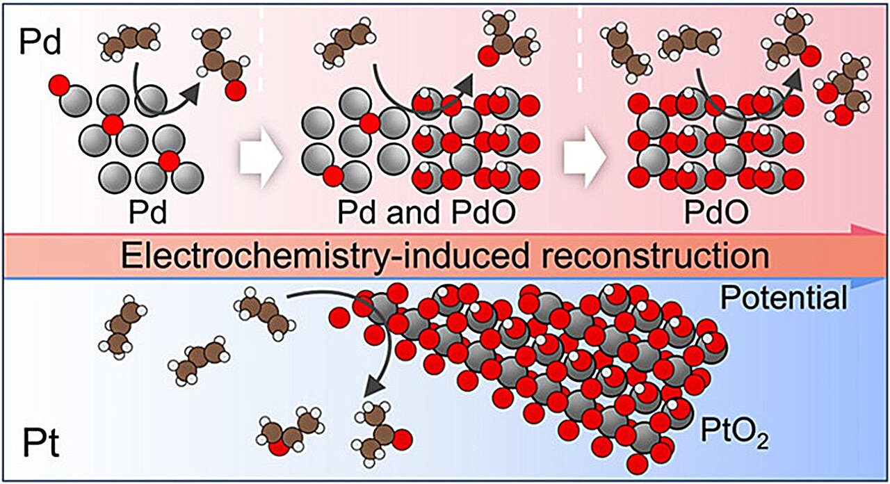 Çalışma PD ve PT katalizör yüzeylerinin kimyasal üretimini nasıl kontrol ettiğini ortaya koyuyor