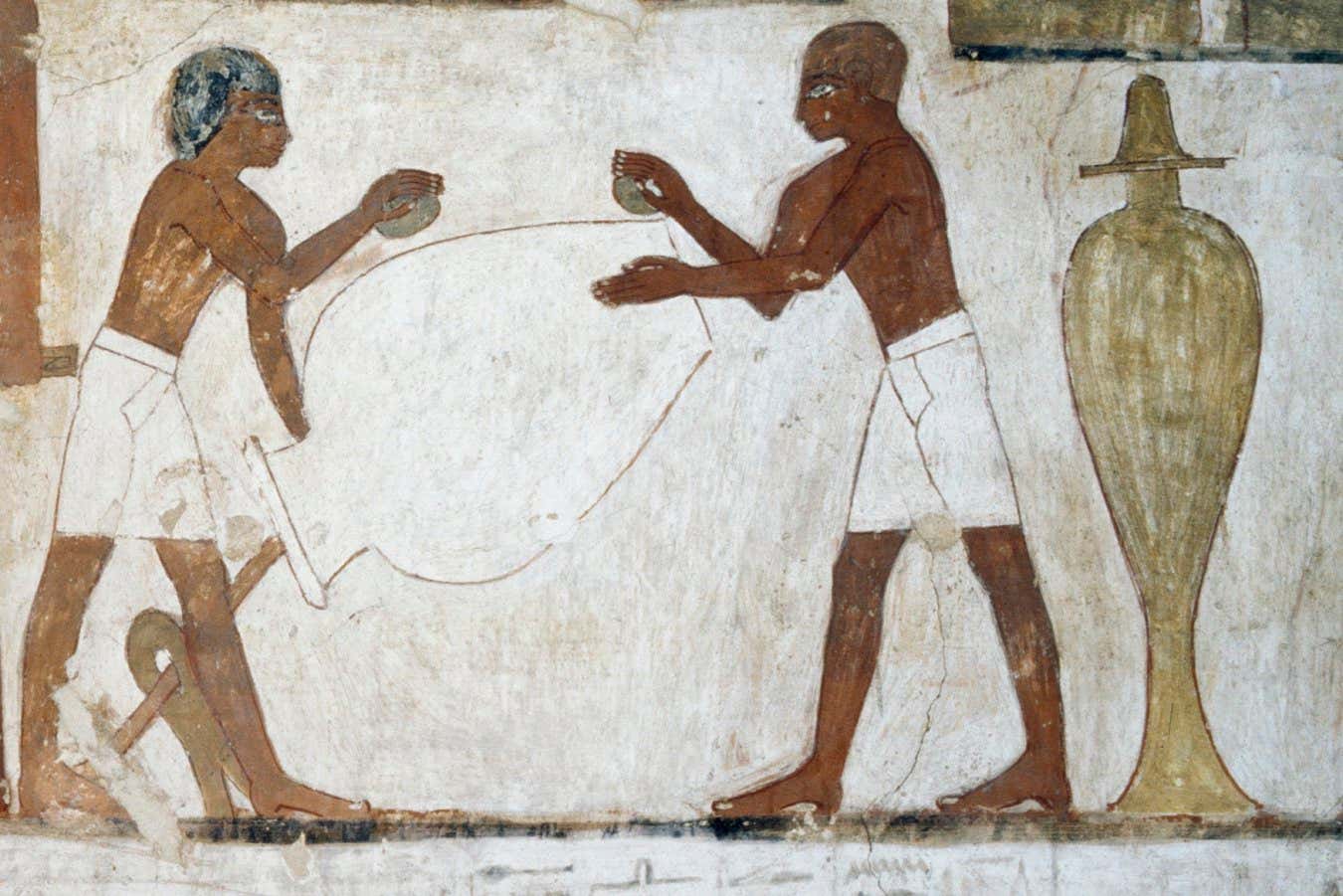 Eski bir Mısırlı'nın tam genomu ilk kez okundu