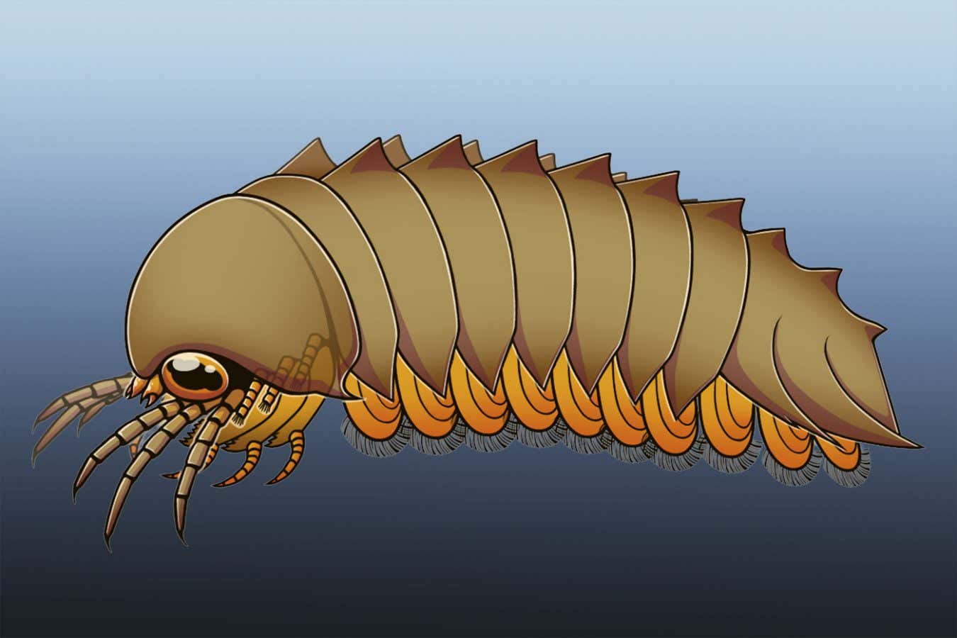 Eski hayvanın fosilleşmiş beyin, örümcek evriminin yeniden düşünülmesi