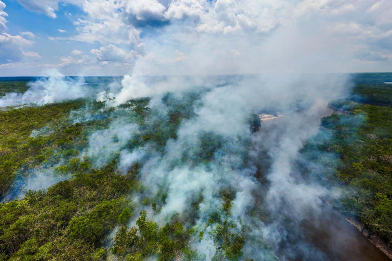 Karbon-ofset şemaları ormanların yanması için hazırlanmıyor