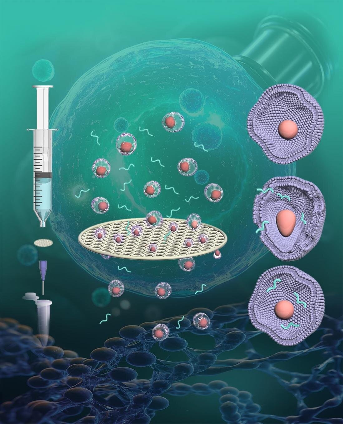 Paslanmaz çelik filtreler, hücrelere verimli ilaç iletimi için geçici nanoporlar oluşturur