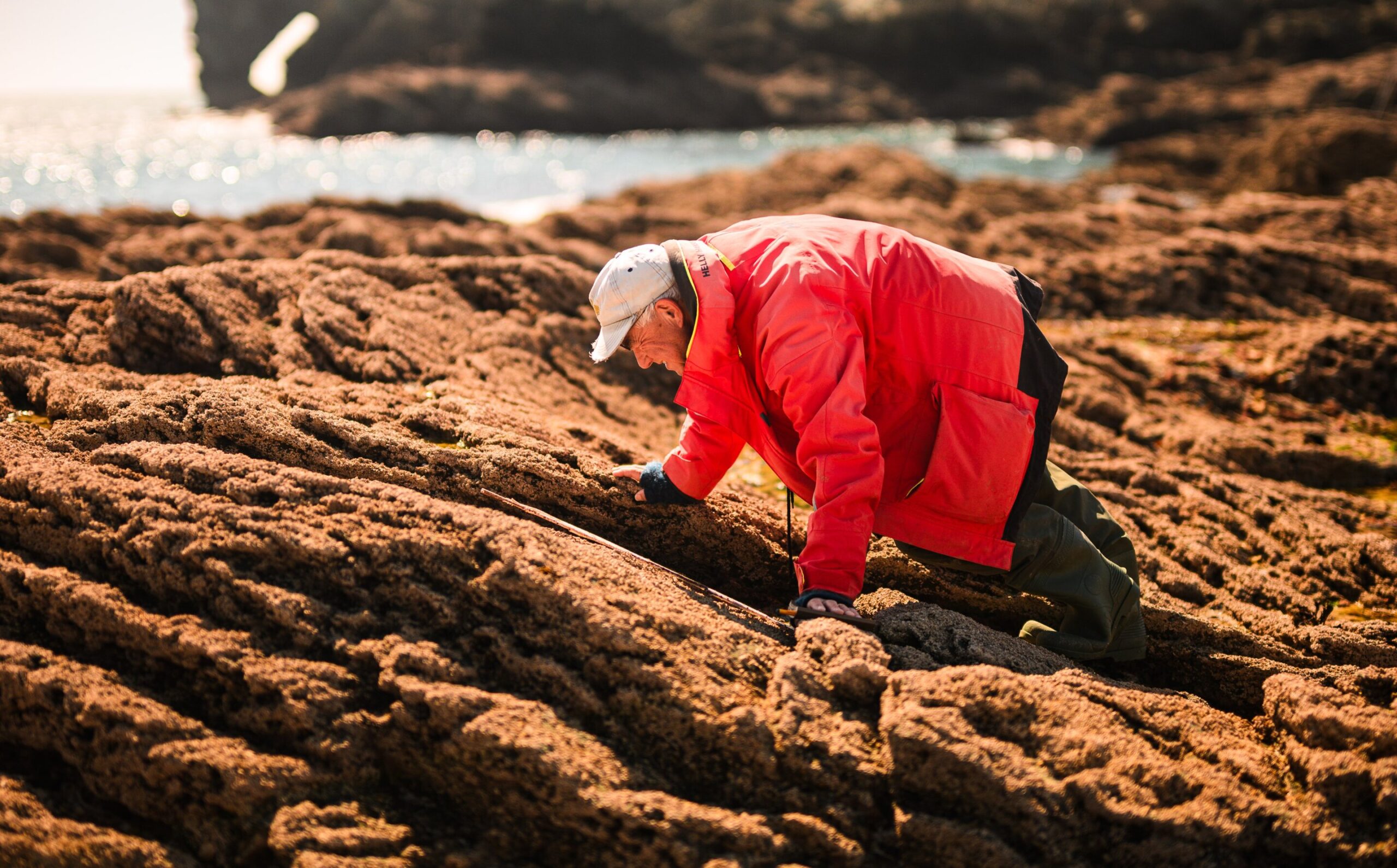 Peki 2025'te dünyanın kıyı şeridi nasıl görünüyor? Bilim adamları yüzyılın dönüş tahminlerini tekrar ziyaret ediyor