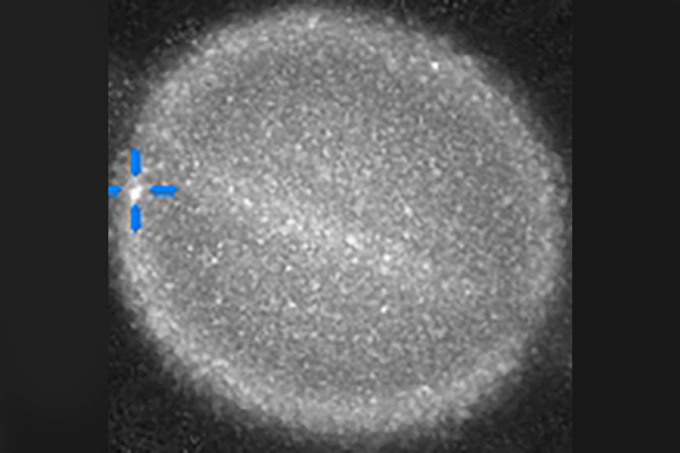 Satürn'e bir şey çarptı mı? Gökbilimciler öğrenmek için yarışıyor