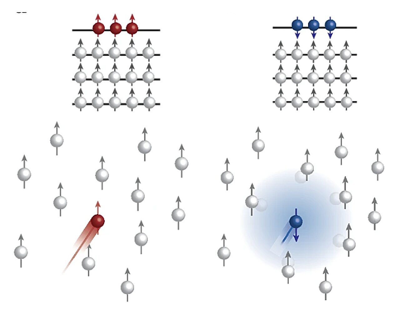 Tungsten diselid'de spin-seçici taşımayı gerçekleştirmek için yeni bir mekanizma