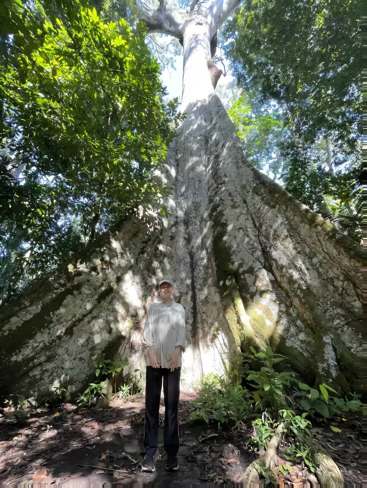Yanmış Amazon ormanları onlarca yıldır sıcak ve stresli kalıyor, yeni bir çalışma buluyor