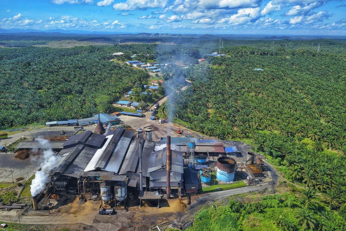 Çiftliklerde yetiştirilen kalorilerin yarısından daha azı artık tabaklarımıza ulaşıyor