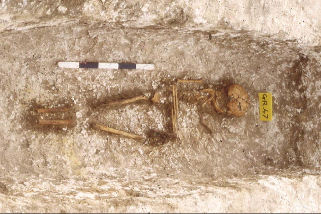 DNA analizi, erken ortaçağ İngiltere'sinde Batı Afrika soyunu ortaya koyuyor