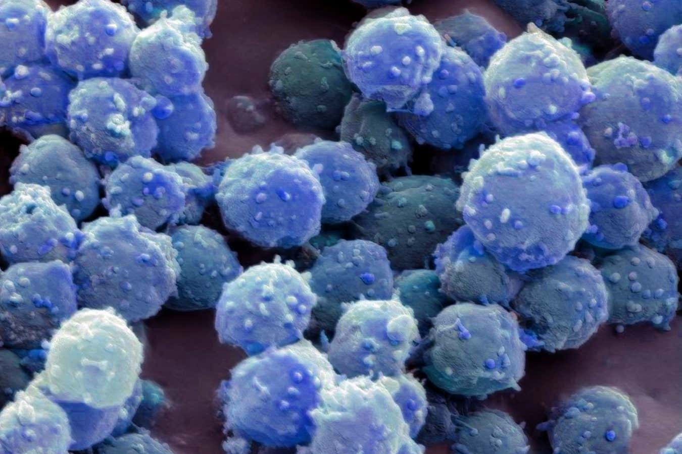 Donmuş mikropların 100.000 yıl boyunca nasıl hayatta kaldığını açıyoruz