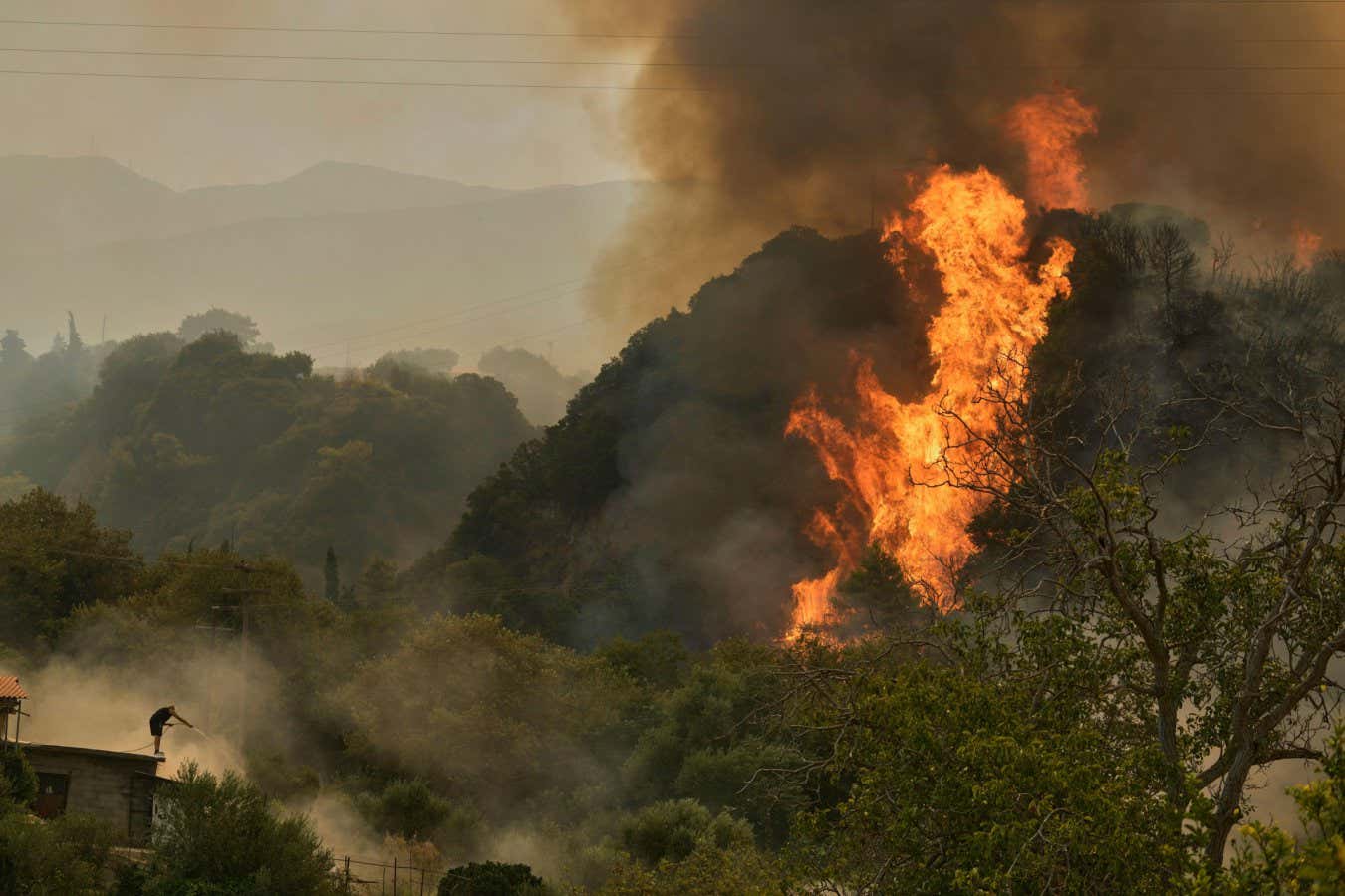 Dünya'nın karbon lavaboları iklim değişikliği geri bildirim döngüleri tarafından aşınıyor