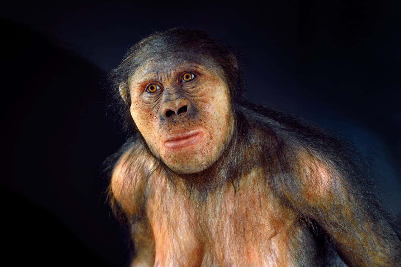 Fosil dişleri yeni bir erken hominin türünden gelebilir