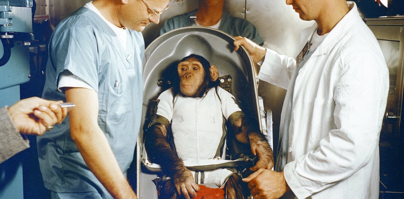 Hayvanları 7 yıldır uzaya gönderiyoruz - ancak onları zarardan koruyacak hala hiçbir kural yok