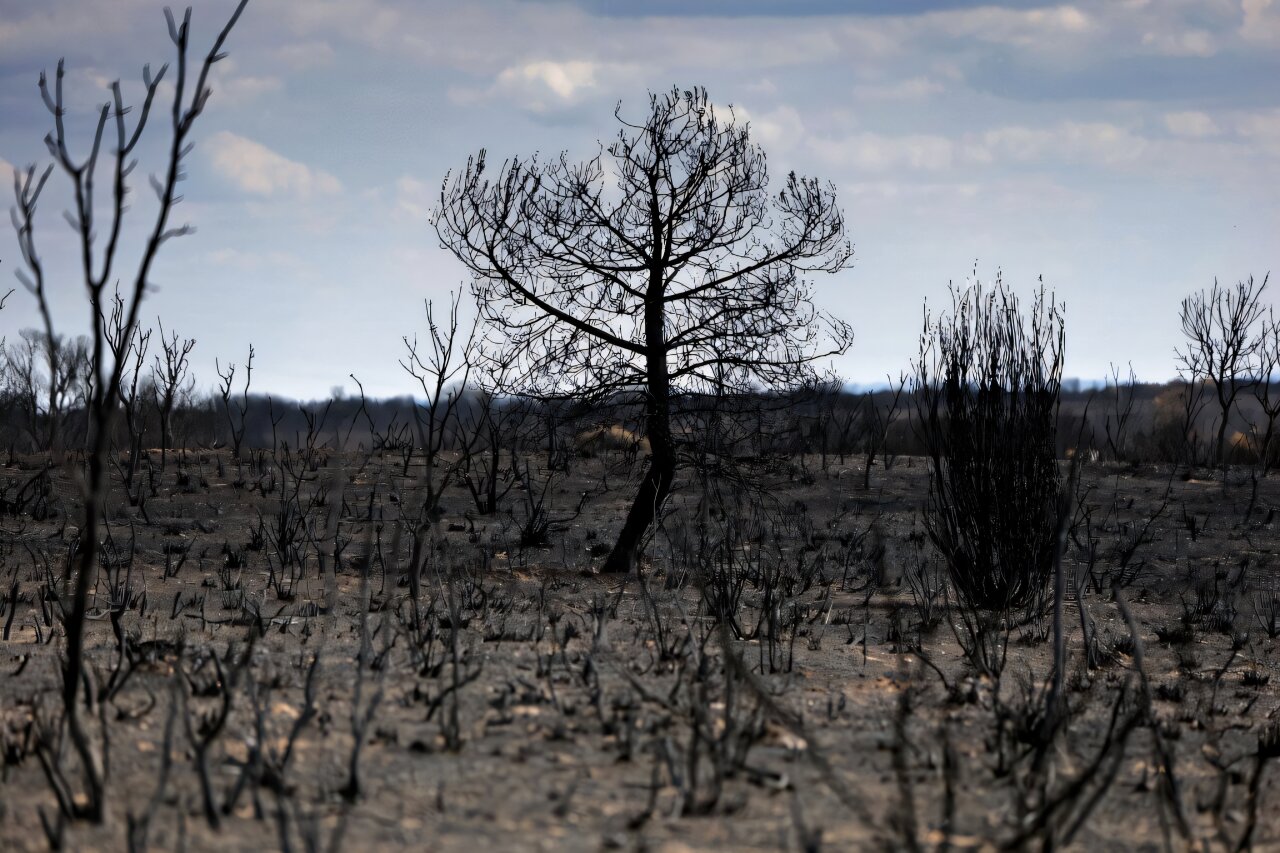 İspanya Heatwave 'Kayıtta En Yoğun' idi