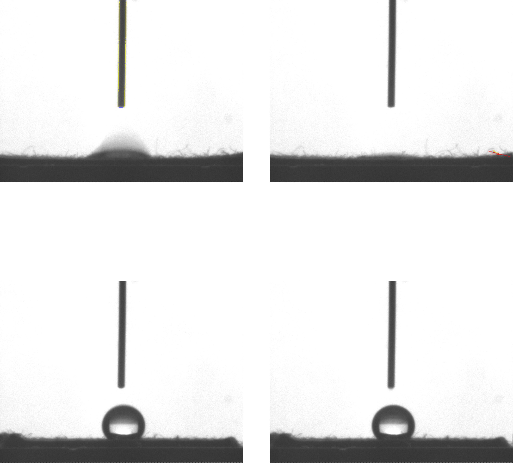 Kumaş bitirmede formaldehit ve PFA'lara potansiyel 'yeşil' bir alternatif