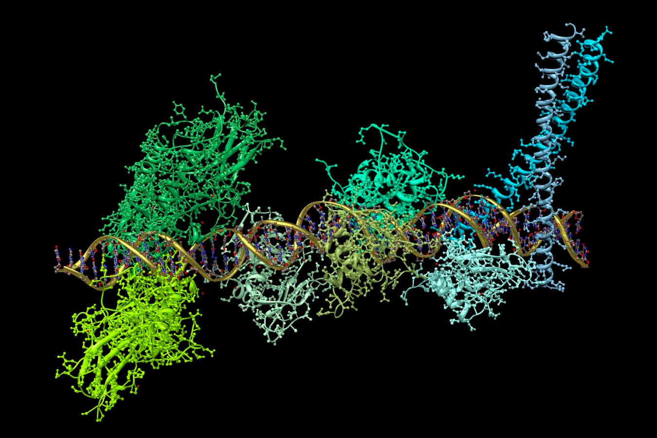 An illustration of the production of the key signalling molecule interferon, produced by a protein complex binding to DNA